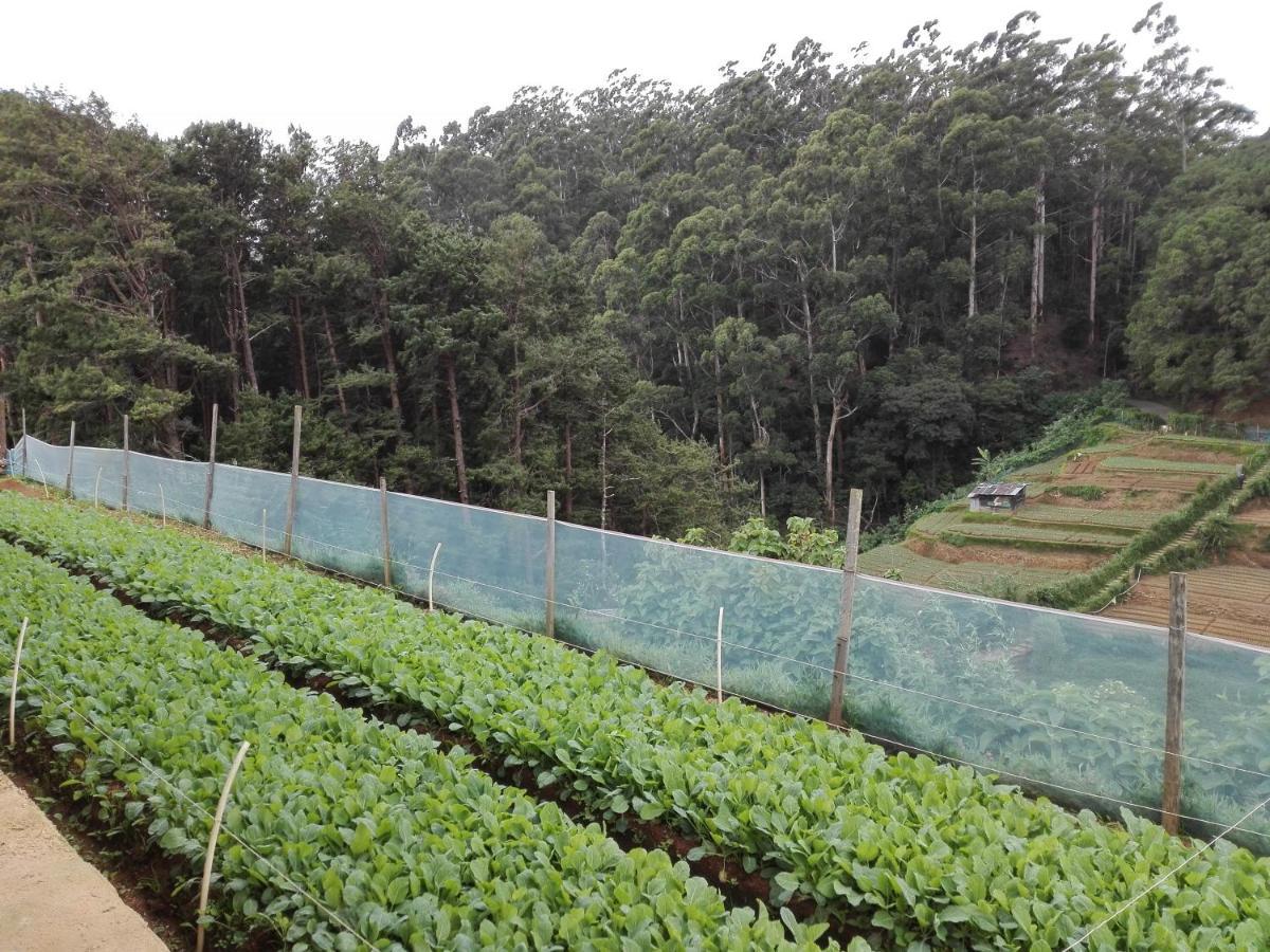 Keshiya Holiday Home Nuwara Eliya Buitenkant foto
