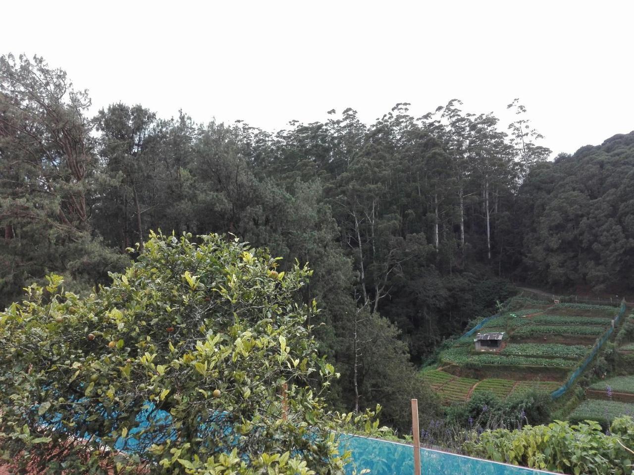 Keshiya Holiday Home Nuwara Eliya Buitenkant foto